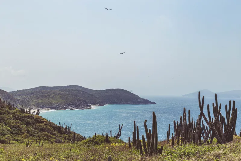 Clique com Consciência: O Guia do Fotógrafo que Ama o Mar e Respeita Cada Vida que Ele Abriga