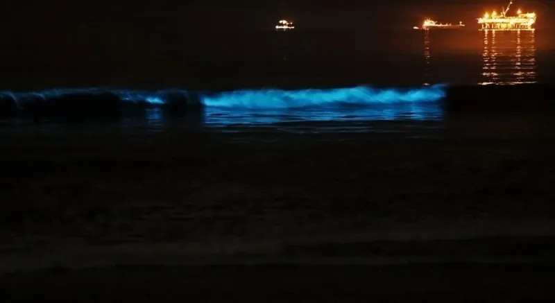O Litoral Depois da Noite Cair: Roteiros Costeiros que Só Existem Sob as Estrelas